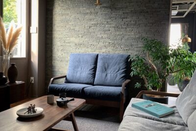 How to Maintenance for Sofa cushion