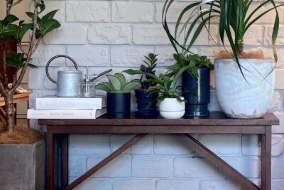 All perpose! TOCCO Bench