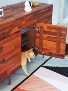 neko attivo