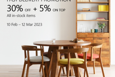 FAST DELIVERY PROMOTION